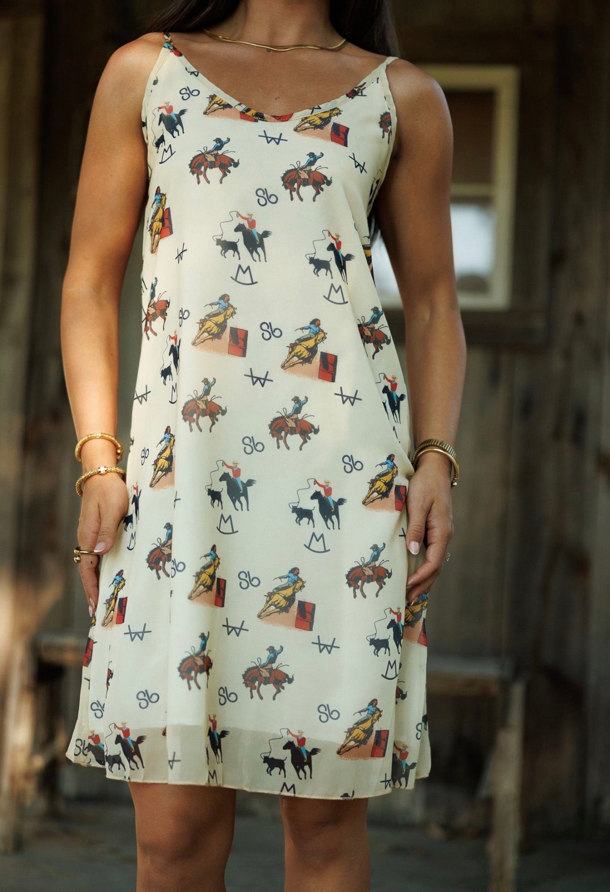 Vintage Cowboy Tank Dress