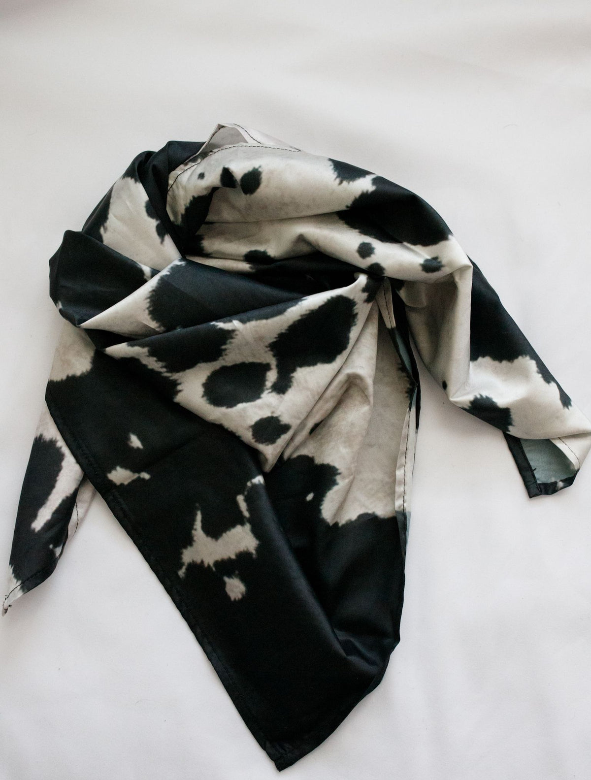 Black Cow Print Wild Rags